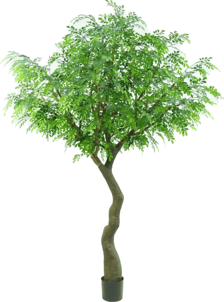 Kunstig murraya træ - H: 240 cm.