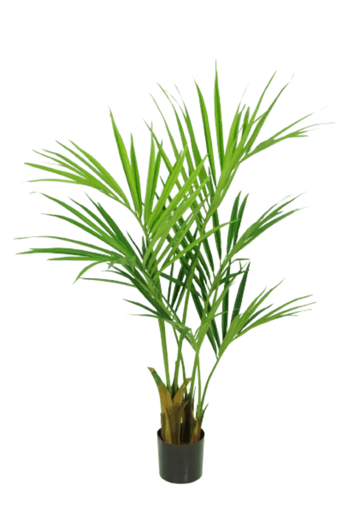 Kunstig kentia palme - H: 120 cm.