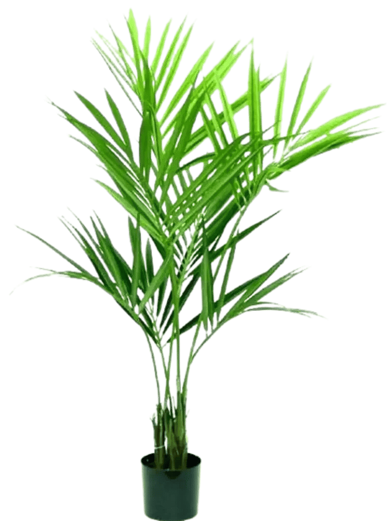 Kunstig kentia palme - H: 180 cm.