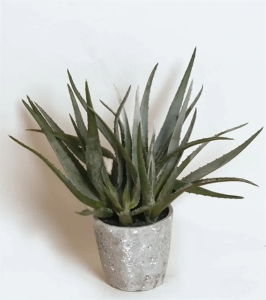 Kunstig aloe grøn - H: 40 cm.