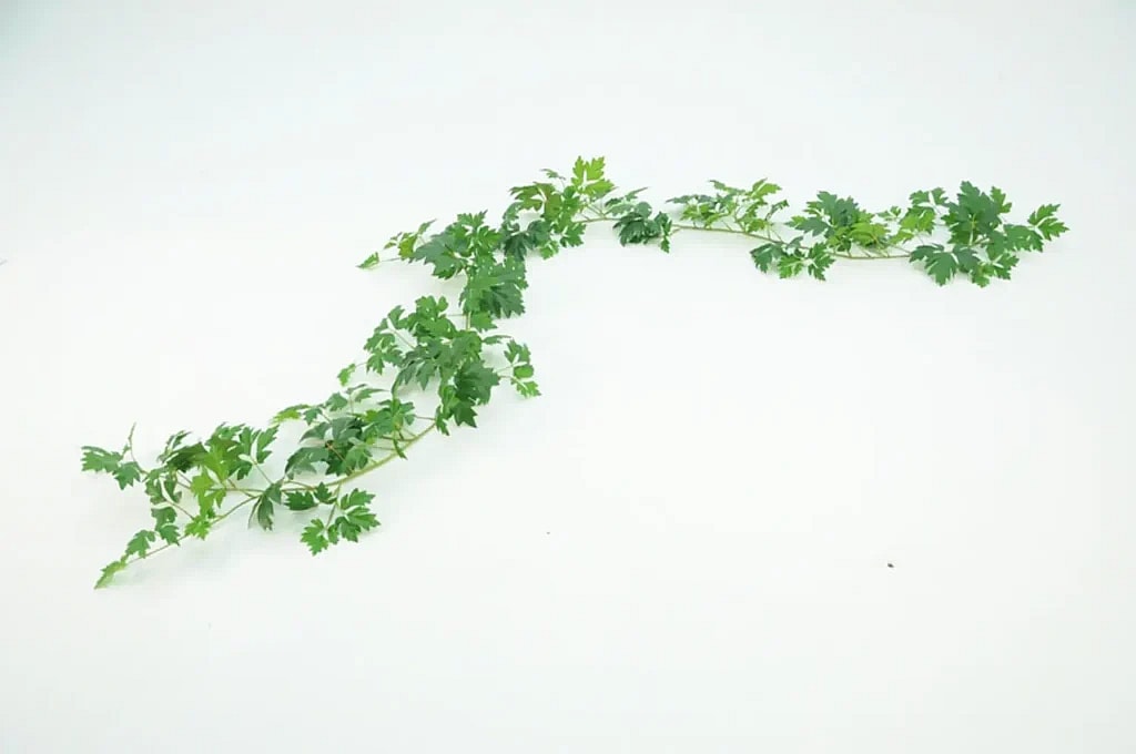 Kunstig Kongevin Ranke - L: 288 cm.