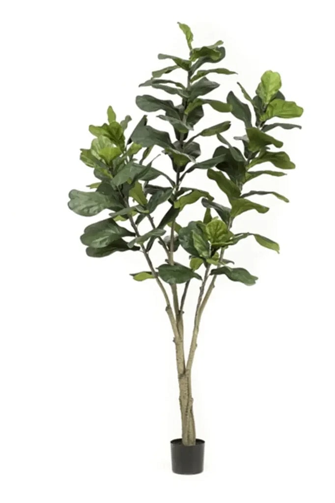 Kunstig violinfigen træ - H: 210 cm.