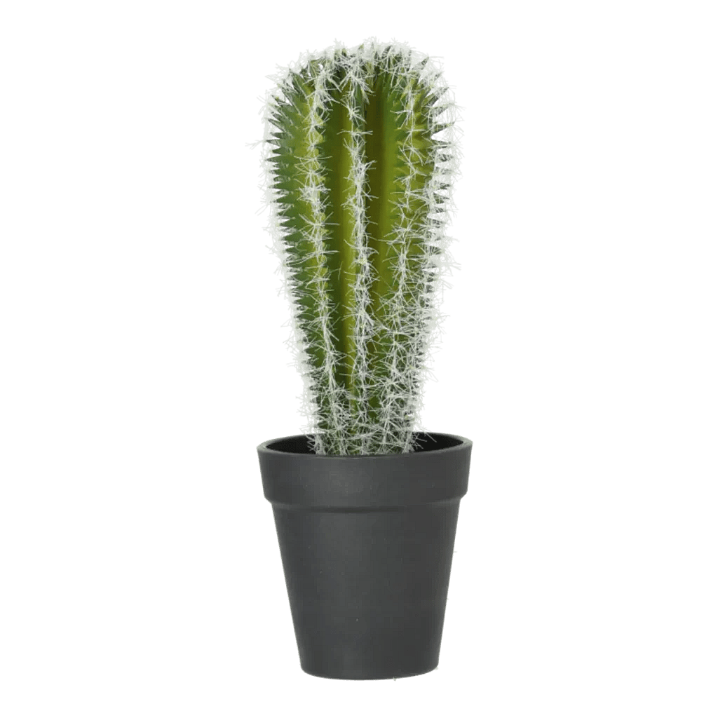 Kunstig kaktus - H: 28 cm.