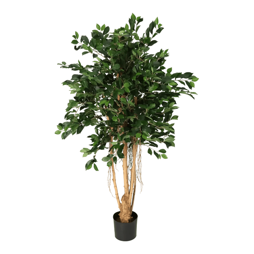 Kunstig ficus Retusa - H: 140 cm.