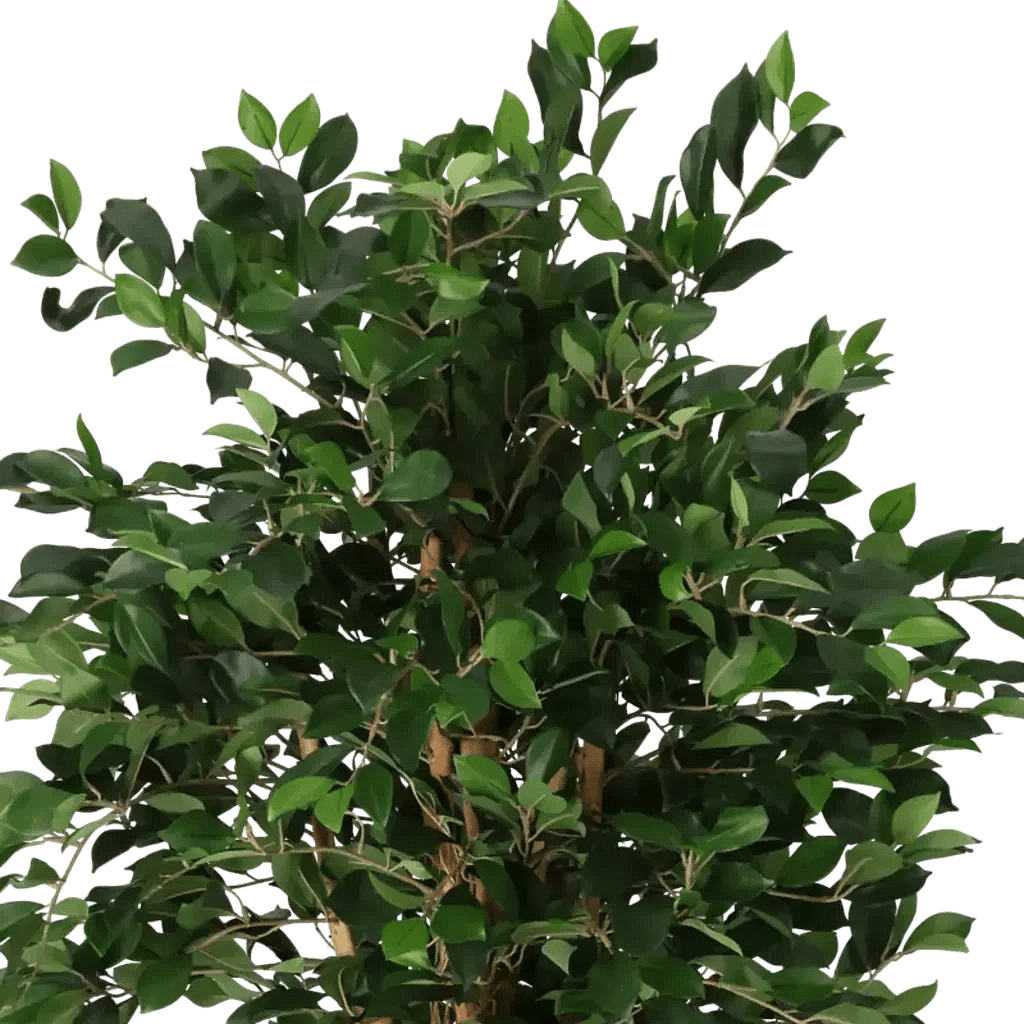 Closeup af Kunstig ficus Retusa H: 140 cm.