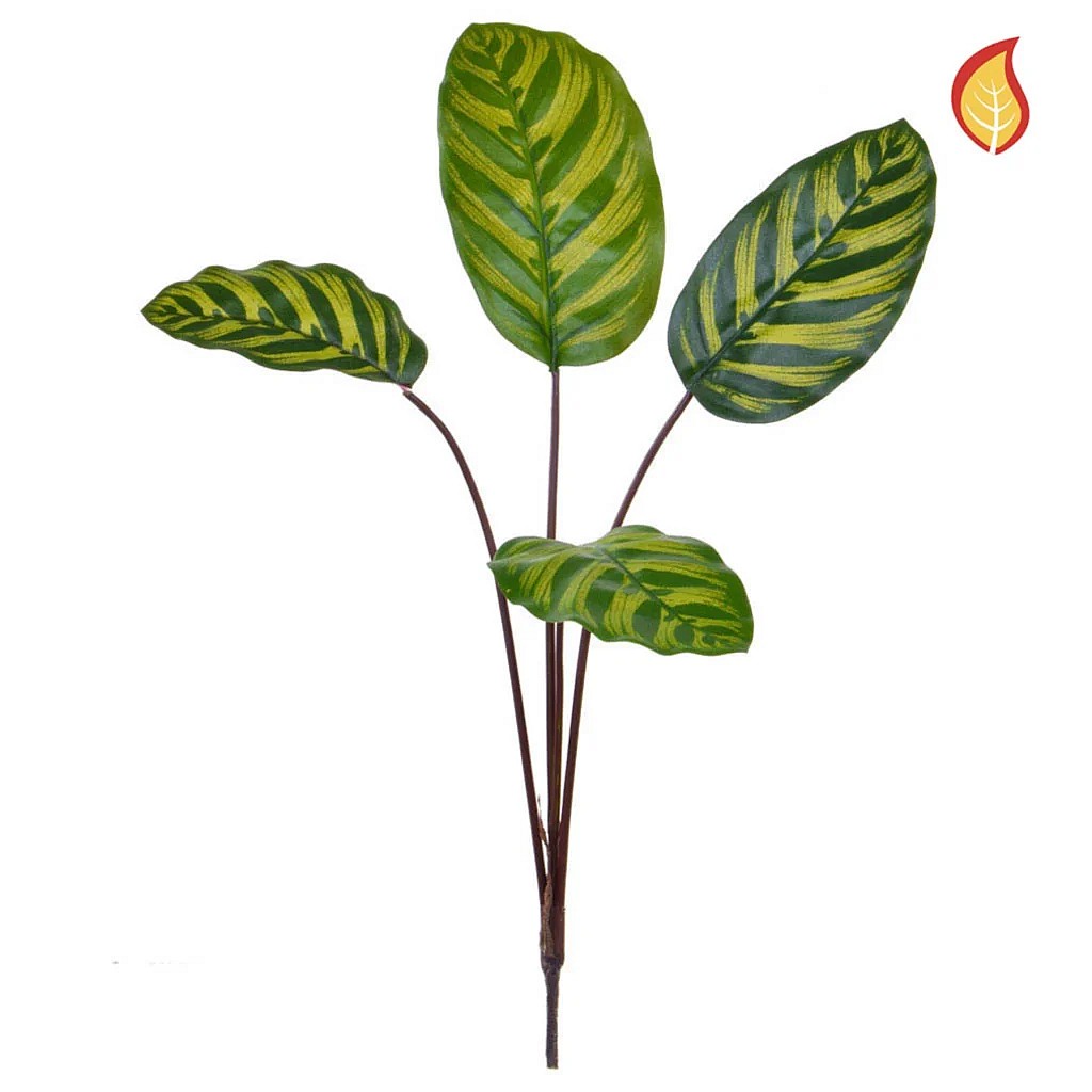 Kunstig Calathea FR L:58 cm.