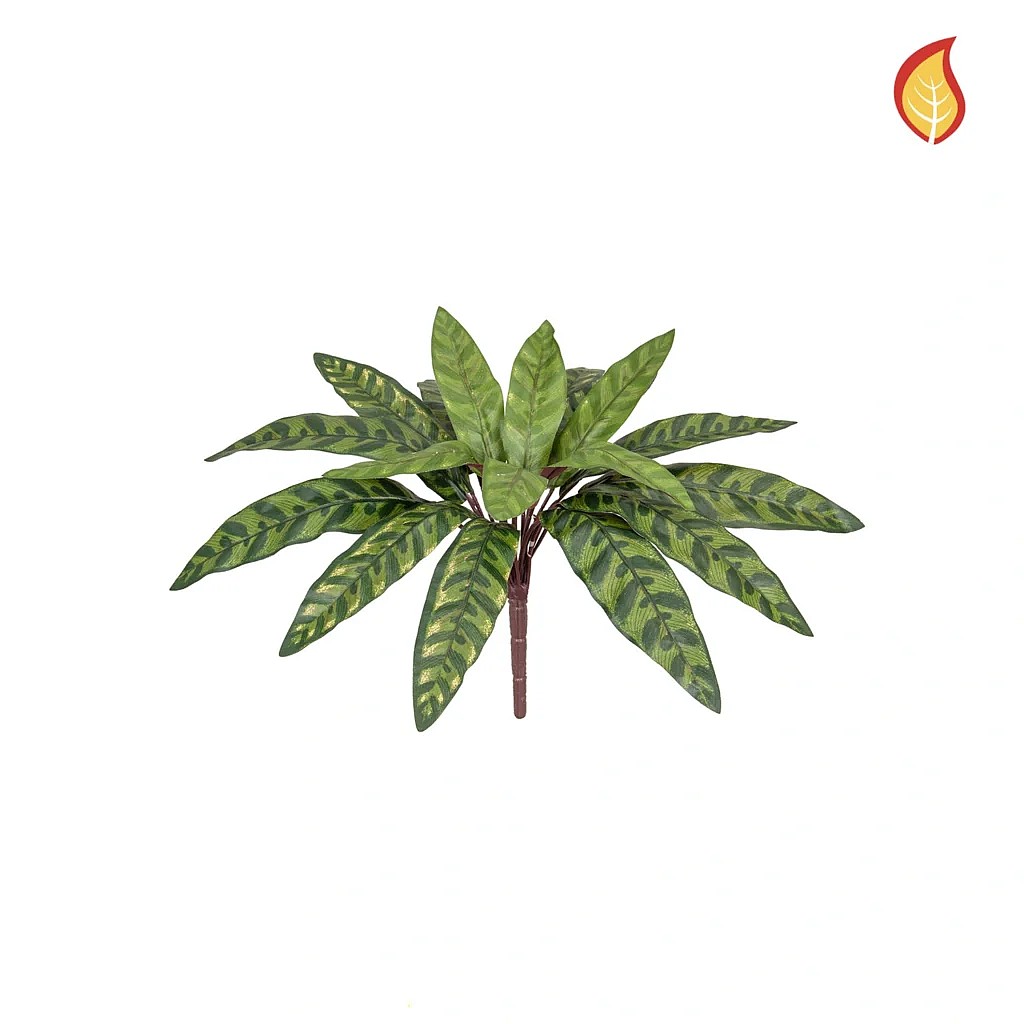 Kunstig Calathea FR H: 37 cm.