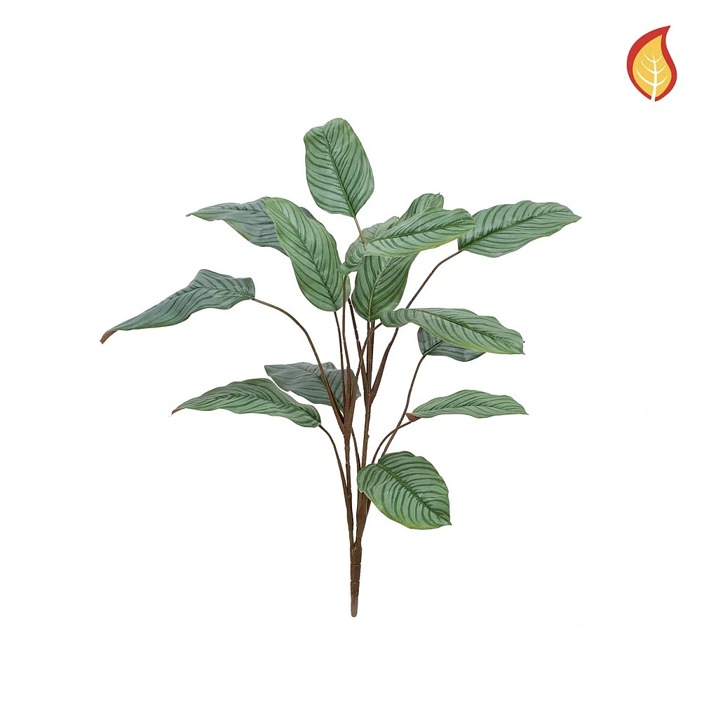 Kunstig Calathea FR H: 112 cm.