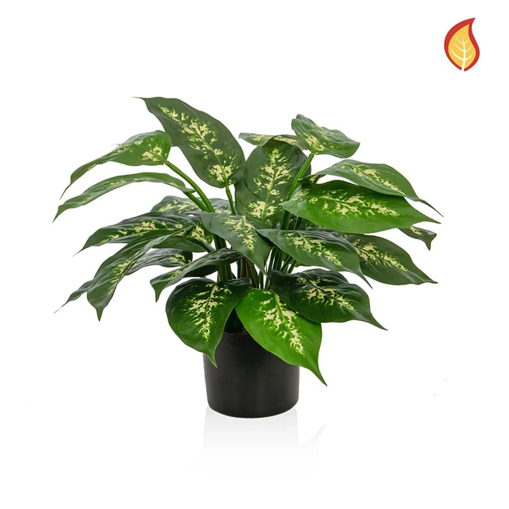 Kunstig diffenbachia i potte FR - H: 37 cm.
