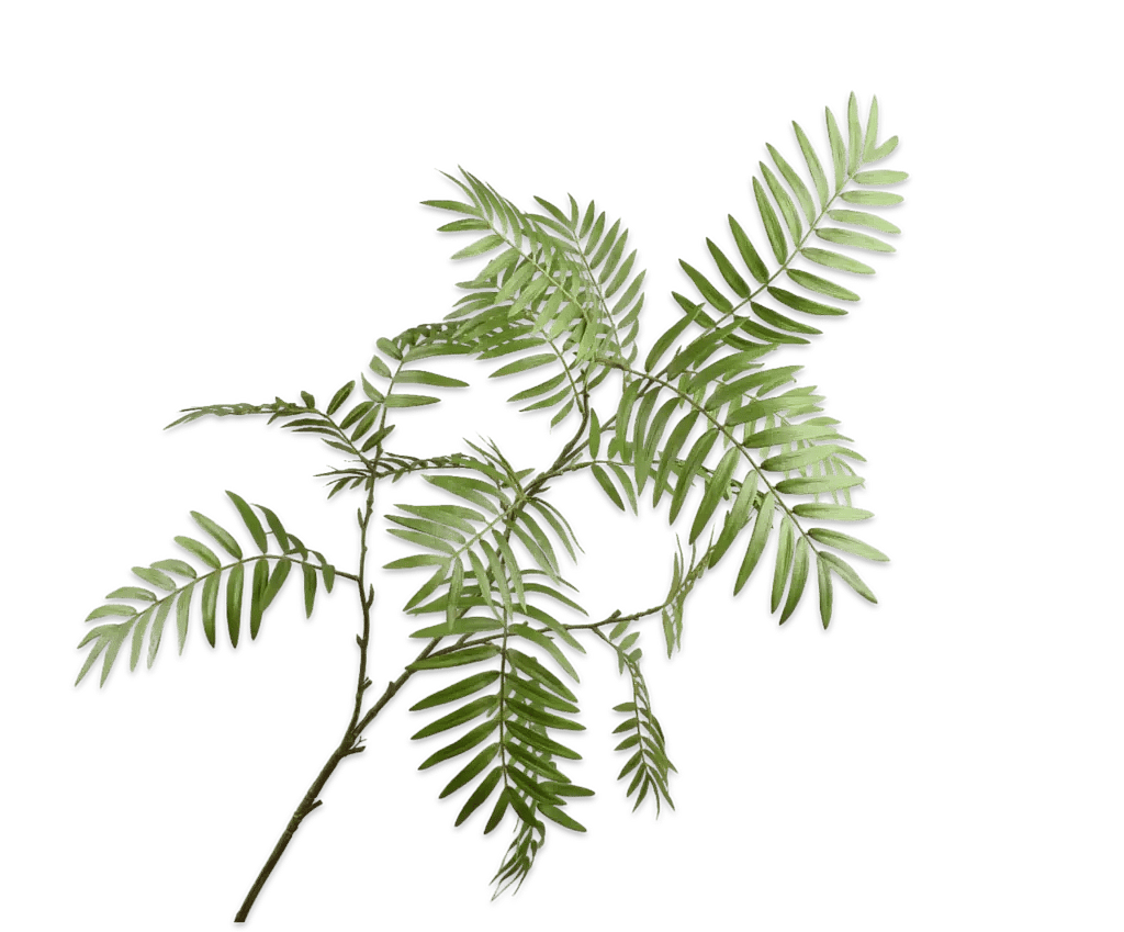 Bladgren grøn L: 138 cm.