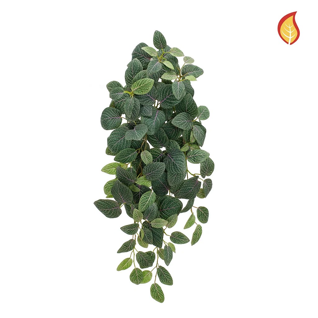 Kunstig Fittonia FR H: 70 cm.