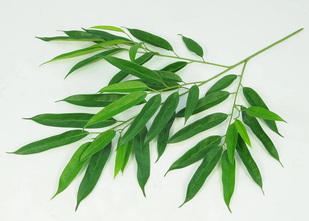 Kunstig longifolia gren FR L: 83 cm.