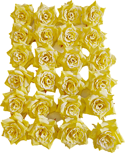 Kunstig Rosehoved Ø: 4,5 cm 24 stk/ pose.