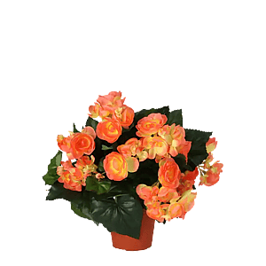 Kunstige Blomstrende Planter