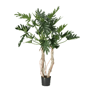 Kunstige Grønne Planter