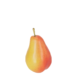 Kunstige Frugter