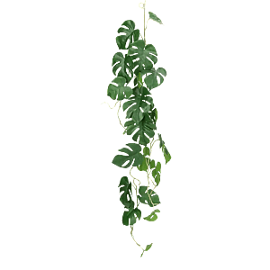 Kunstige Ranker