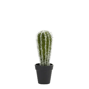 Kunstige Kaktus Planter