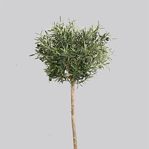Kunstig Oliventræ H: 140 cm.