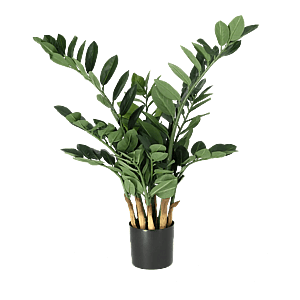 Kunstig Zamifolia H: 66 cm.
