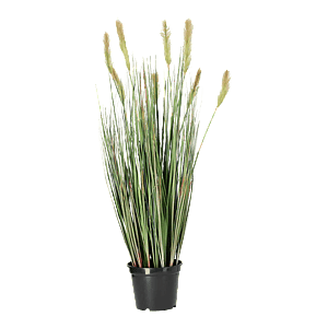 Kunstig Foxtail græs H: 90 cm.