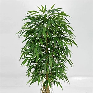 Kunstig Longifolia H: 170 cm.