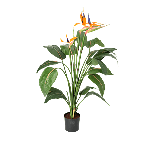 Kunstig Strelitzia m. blomster H: 115 cm.