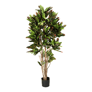 Kunstig Croton H: 140 cm.