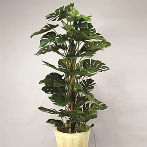 Kunstig Monstera Deliciosa Split H: 170 cm.