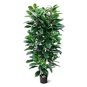 Kunstig Ficus - H:160 cm.