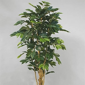 Kunstig Kaffetræ H: 170 cm.