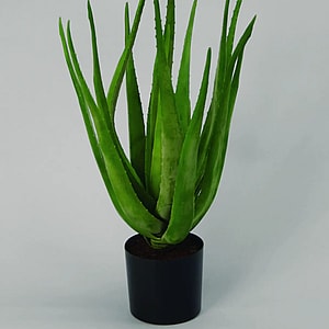 Kunstig Aloe Vera H: 60 cm.