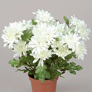 Kunstig krysantemum hvid H: 26 cm.