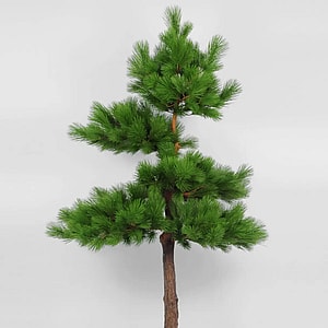 Kunstig fyr træ - H: 200 cm.