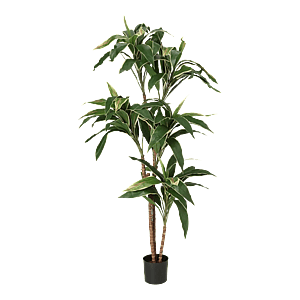 Kunstig Cordyline palme H: 120 cm.