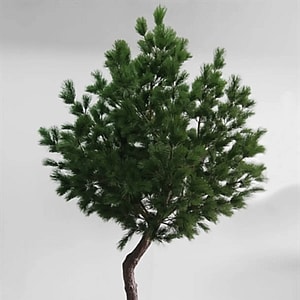 Kunstig Fyrtræ H: 270 cm.