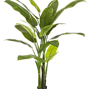 Kunstig Heliconia H: 170 cm.