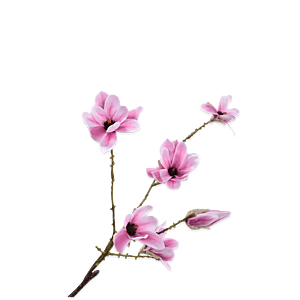 Kunstig Magnolia L: 73 cm.