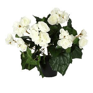 Kunstig begonia hvid - H: 30 cm.
