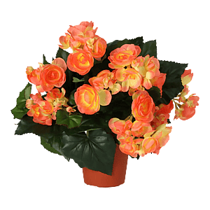 Kunstig begonia i mørk orange - H: 30 cm.