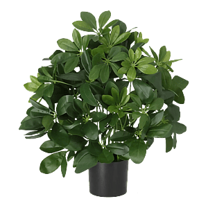 Kunstig Schefflera H: 45 cm.