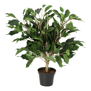 Kunstig Ficus H: 40 cm.
