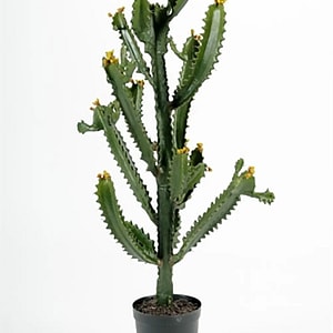 Kunstig Finger Kaktus H: 95 cm.