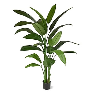 Kunstig Heliconia H: 170 cm.