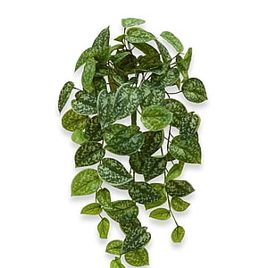 Kunstig scindapsus hængeplante - L: 60 cm.