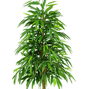 Kunstig longifolia træ - H: 140 cm.