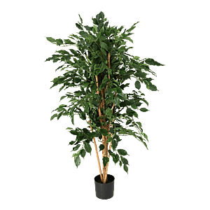 Kunstig Ficus Benjamina H: 140 cm.