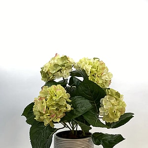 Kunstig hortensia limegrøn - H: 41 cm.