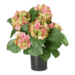 Kunstig hortensia rosa/lime - H: 41 cm.