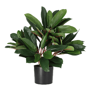 Kunstig schefflera rød/grøn - H: 35 cm.
